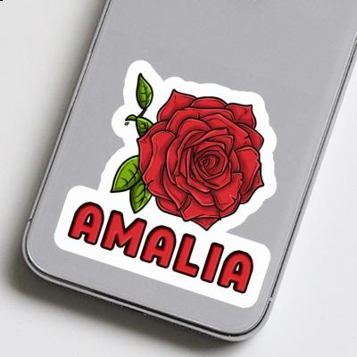 Autocollant Amalia Rose Gift package Image