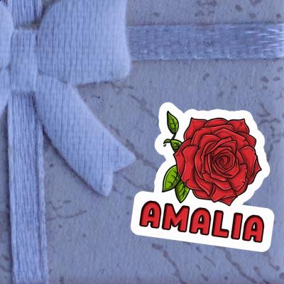 Sticker Rose Amalia Image