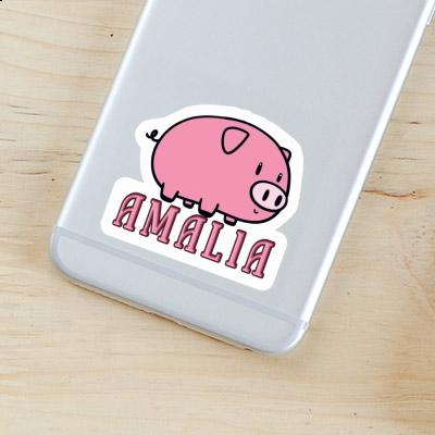 Pig Sticker Amalia Gift package Image