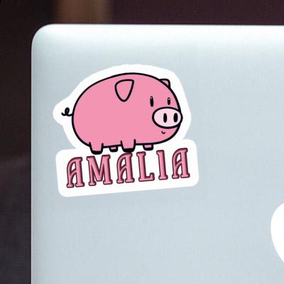 Autocollant Amalia Cochon Image