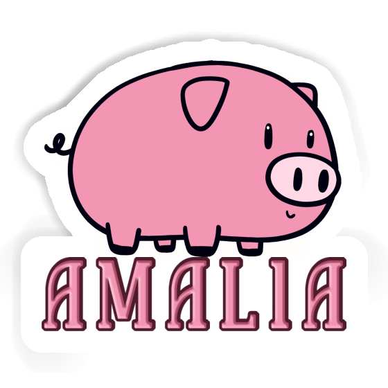 Pig Sticker Amalia Gift package Image