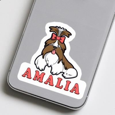 Autocollant Shih Tzu Amalia Laptop Image