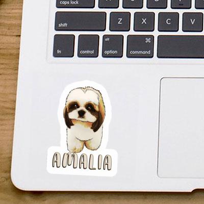 Autocollant Shih Tzu Amalia Notebook Image