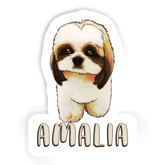 Autocollant Shih Tzu Amalia Image