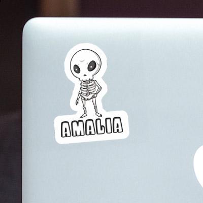 Skeleton Sticker Amalia Gift package Image