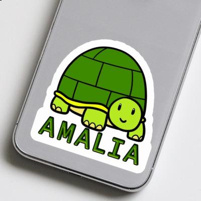 Aufkleber Schildkröte Amalia Laptop Image