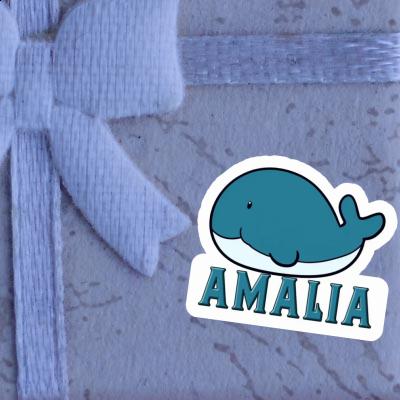 Autocollant Baleine Amalia Gift package Image