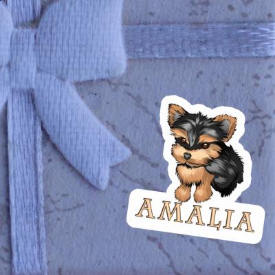 Autocollant Yorkie Amalia Gift package Image