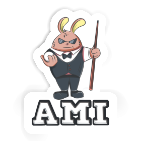 Ami Sticker Billiards Player Image