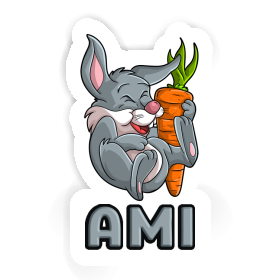 Sticker Hare Ami Image