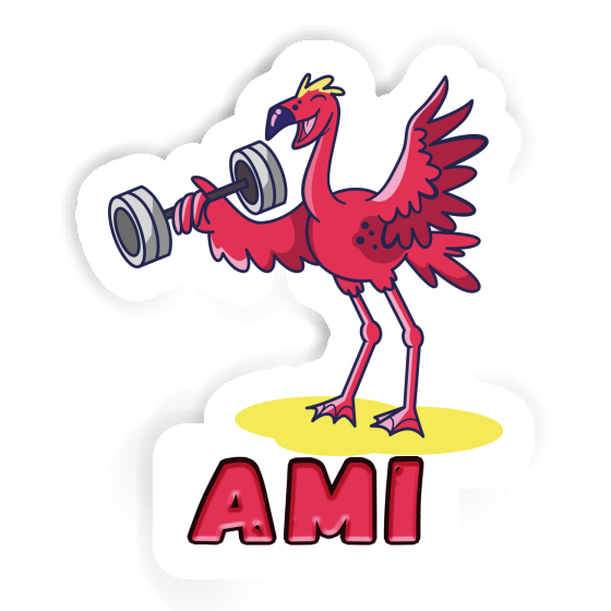 Ami Sticker Flamengo Gift package Image