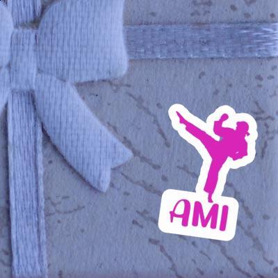 Ami Sticker Karateka Gift package Image