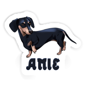 Autocollant Teckel Amie Image