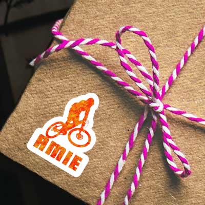 Aufkleber Downhiller Amie Notebook Aufkleber Downhiller Amie Gift package Image