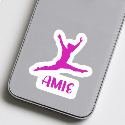 Amie Autocollant Gymnaste Gift package Image