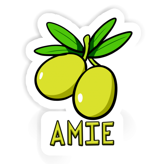 Autocollant Amie Olive Gift package Image