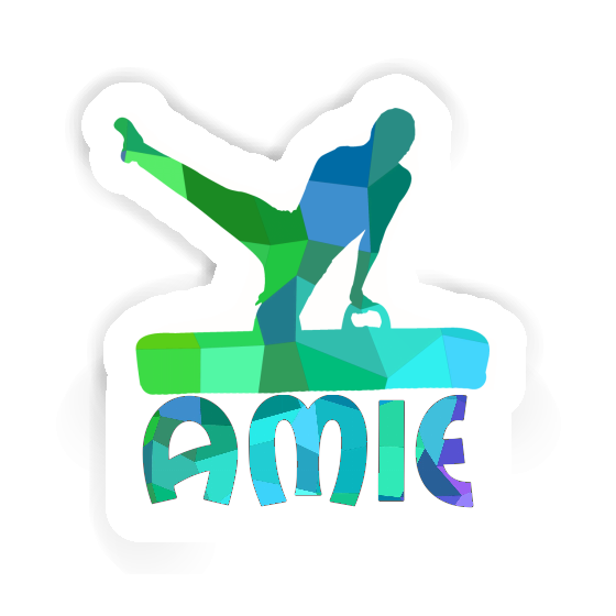 Amie Sticker Gymnast Gift package Image