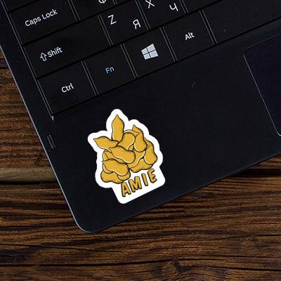 Sticker Amie Nut Notebook Sticker Amie Nut Notebook Image