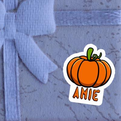 Amie Sticker Pumpkin Amie Sticker Pumpkin Image