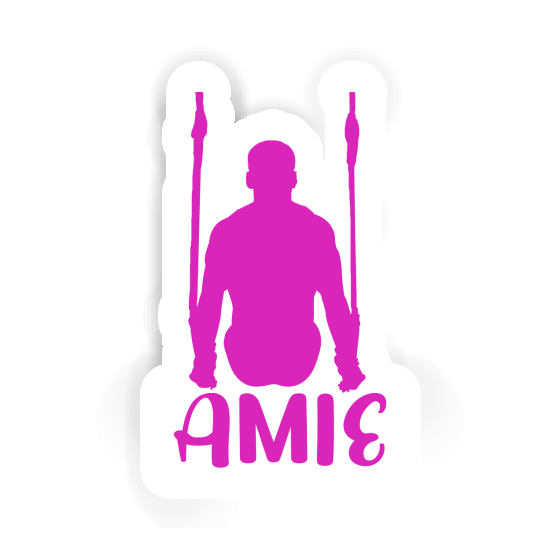 Sticker Ring gymnast Amie Notebook Sticker Ring gymnast Amie Gift package Image
