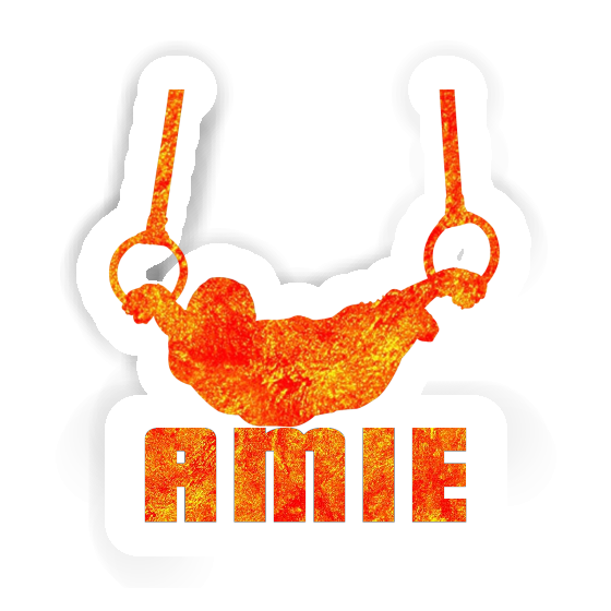 Sticker Ring gymnast Amie Notebook Sticker Ring gymnast Amie Gift package Image