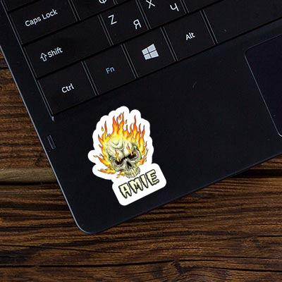 Sticker Amie Skull Gift package Image