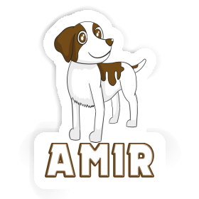 Amir Autocollant Bretagne chien Image