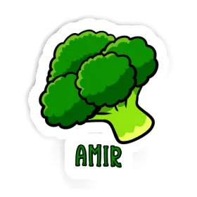 Amir Sticker Broccoli Image