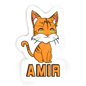 Sticker Amir Kitten Image