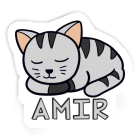 Amir Sticker Cat Image