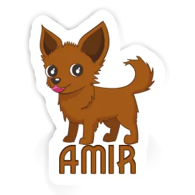 Sticker Amir Chihuahua Image