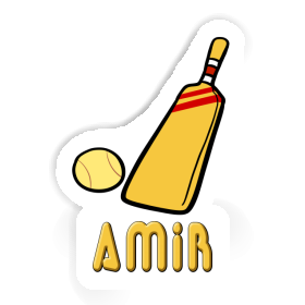 Cricket Bat Sticker Amir Image