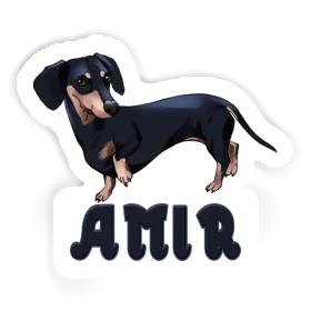 Amir Sticker Dachshund Image