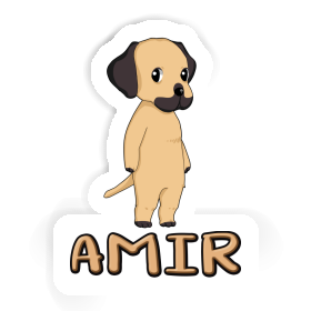 Autocollant Rhodesian Ridgeback Amir Image