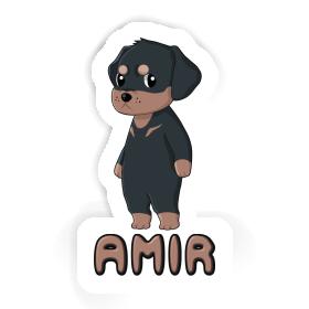 Autocollant Rottweiler Amir Image