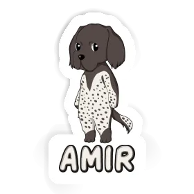 Sticker Small Munsterlander Amir Image