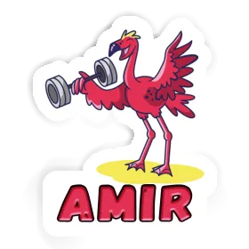 Amir Sticker Weight Lifter Image