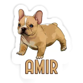 Sticker Amir Frenchie Image