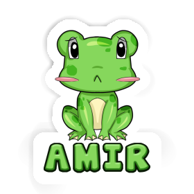 Amir Sticker Frog Image