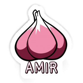 Garlic clove Sticker Amir Image