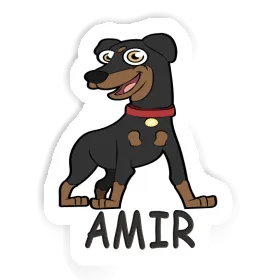 Sticker Amir German Pinscher Image