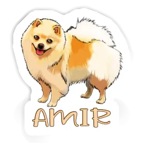 Sticker Amir German Spitz Image