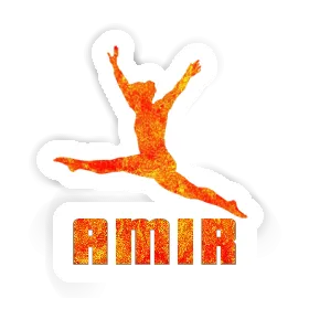 Sticker Amir Gymnast Image