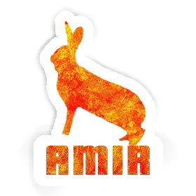 Rabbit Sticker Amir Image