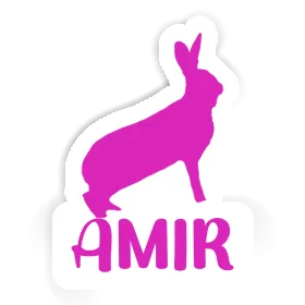 Amir Sticker Rabbit Image