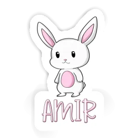 Amir Sticker Hare Image