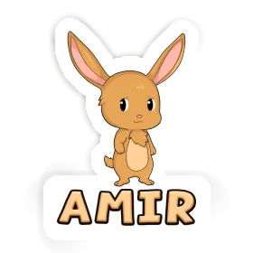 Sticker Hare Amir Image