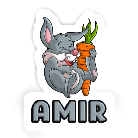 Sticker Amir Rabbits Image