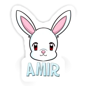 Amir Sticker Hare Image