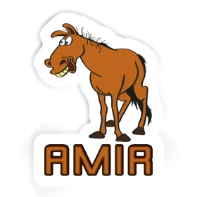 Sticker Amir Horse Image